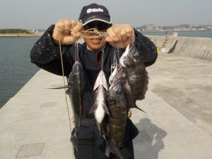 DSCN9121