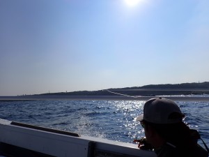 P8030013
