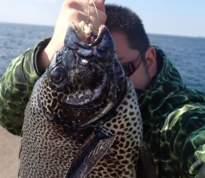 PB230070 - コピー