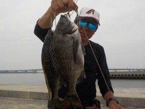 タカ2