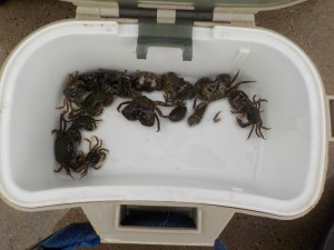 タカ産業4