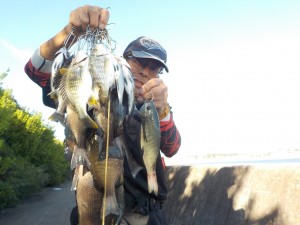 DSCN8411